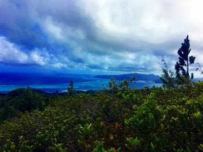 Rando randonnée trek trekking montagne sommet pic plateau mont Temehani Raiatea lagon Polynésie française