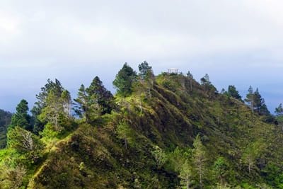 Hiking trekking trek trail walk mountain summit peak mount Manureva Moerai bay Avera Rurutu French Polynesia