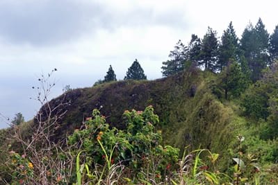 Hiking trekking trek trail walk mountain summit peak mount Manureva Moerai bay Avera Rurutu French Polynesia