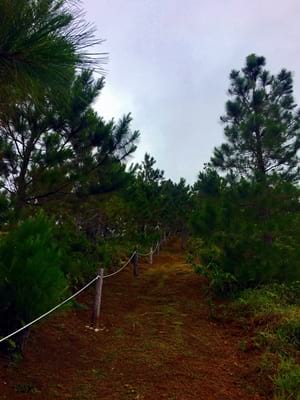 Hiking trekking trek trail walk mountain summit peak mount Manureva Moerai bay Avera Rurutu French Polynesia