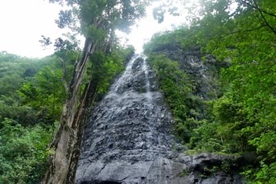 Hiking trekking trek trail walk mountain waterfalls Putoa Atiraa Afareaitu Moorea French Polynesia