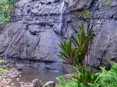 Hiking trekking trek trail walk mountain waterfalls Putoa Atiraa Afareaitu Moorea French Polynesia