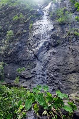 Hiking trekking trek trail walk mountain waterfalls Putoa Atiraa Afareaitu Moorea French Polynesia