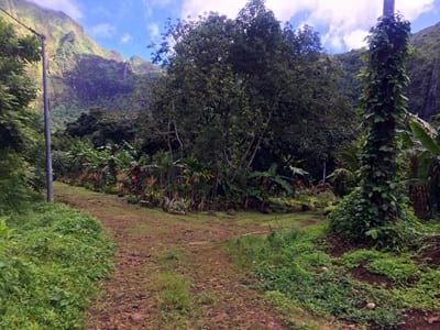 Hiking trekking trek trail walk mountain waterfalls Putoa Atiraa Afareaitu Moorea French Polynesia