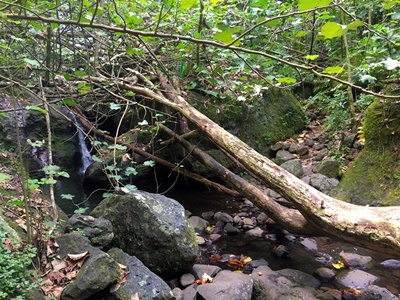 Hiking trekking trek trail walk mountain waterfalls Putoa Atiraa Afareaitu Moorea French Polynesia