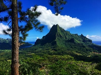 Hiking trekking trek trail walk mountain summit peak crossing Vaiare port three pinus Opunohu Cook bay belvedere Moorea French Polynesia