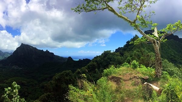Hiking trekking trek trail walk mountain summit peak crossing Vaiare port three pinus Opunohu Cook bay belvedere Moorea French Polynesia