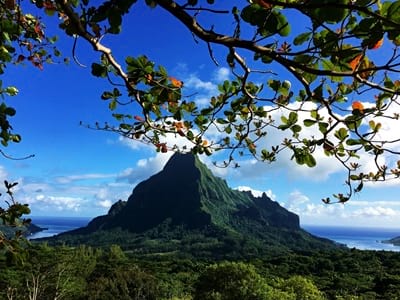 Hiking trekking trek trail walk mountain summit peak crossing Vaiare port three pinus Opunohu Cook bay belvedere Moorea French Polynesia