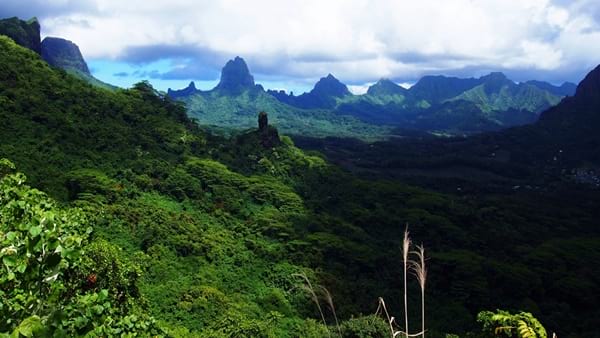 Hiking trekking trek trail walk mountain summit peak crossing Vaiare port three pinus Opunohu Cook bay belvedere Moorea French Polynesia