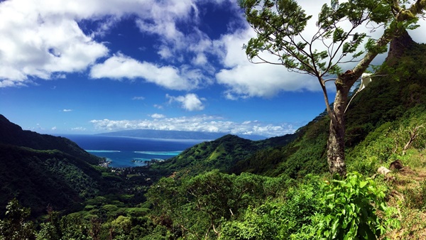 Hiking trekking trek trail walk mountain summit peak crossing Vaiare port three pinus Opunohu Cook bay belvedere Moorea French Polynesia