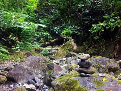Hiking trekking trek trail walk mountain waterfall valley Tipaerui Faaroa Tahiti French Polynesia