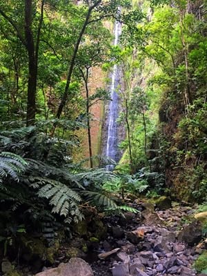 Hiking trekking trek trail walk mountain waterfall valley Tipaerui Faaroa Tahiti French Polynesia