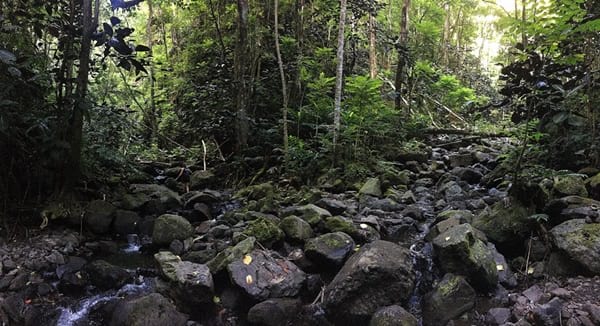 Hiking trekking trek trail walk mountain waterfall valley Tipaerui Faaroa Tahiti French Polynesia