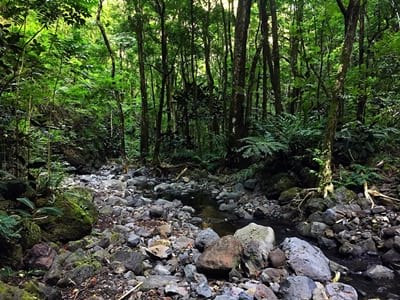 Hiking trekking trek trail walk mountain waterfall valley Tipaerui Faaroa Tahiti French Polynesia