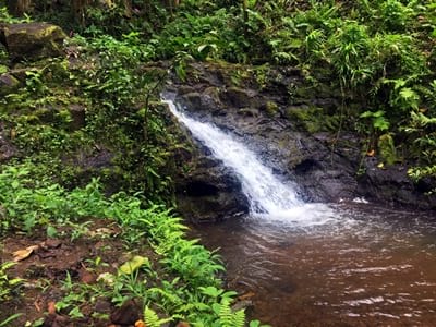 Hiking trekking trek trail walk mountain waterfall park water gardenss Vaipahi Mataiea Papeari Tahiti French Polynesia