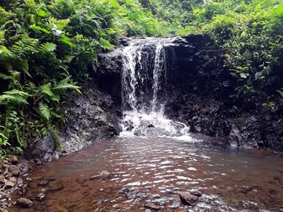 Hiking trekking trek trail walk mountain waterfall park water gardenss Vaipahi Mataiea Papeari Tahiti French Polynesia