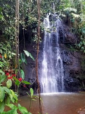 Hiking trekking trek trail walk mountain waterfall park water gardenss Vaipahi Mataiea Papeari Tahiti French Polynesia