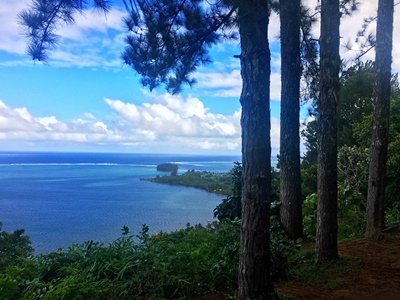 Hiking trekking trek trail walk mountain waterfall park water gardenss Vaipahi Mataiea Papeari Tahiti French Polynesia