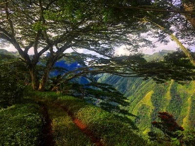 Hiking trekking trek trail walk mountain thousand sources Mahinarama Mahina valley Tuauru Tahiti French Polynesia