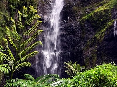 Rando randonnée trek trekking montagne vallée Fara'ura Faraura cascade 180m Hitiaa Tahiti Polynésie française