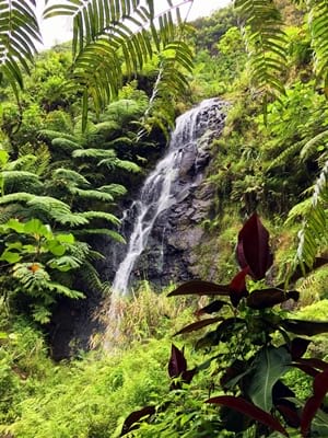Rando randonnée trek trekking montagne vallée Fara'ura Faraura cascade Hitiaa Tahiti Polynésie française