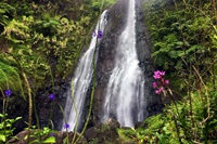 Hiking trekking trek trail walk mountain valley Fara'ura Faraura waterfall Hitiaa Tahiti French Polynesia
