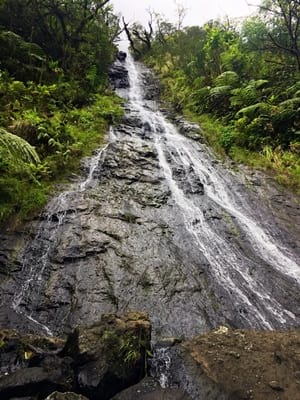Hiking trekking trek trail walk mountain valley Onohea Tiarei Tahiti lake water lily French Polynesia