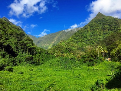 Hiking trekking trek trail walk mountain valley Onohea Tiarei Tahiti lake water lily French Polynesia